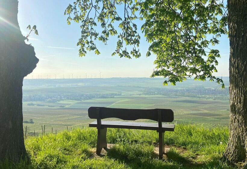 ホテル Hofgut Wißberg  Das Weinberg
