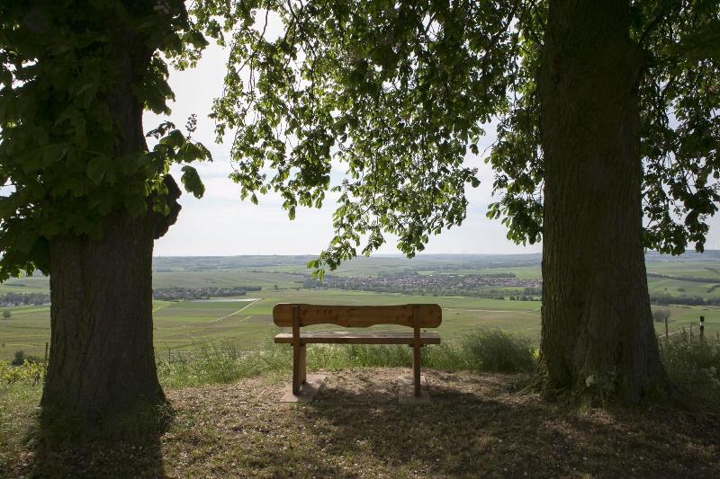 ホテル Hofgut Wißberg  Das Weinberg