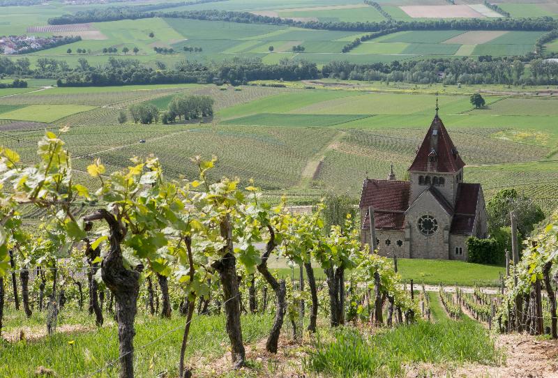 ホテル Hofgut Wißberg  Das Weinberg