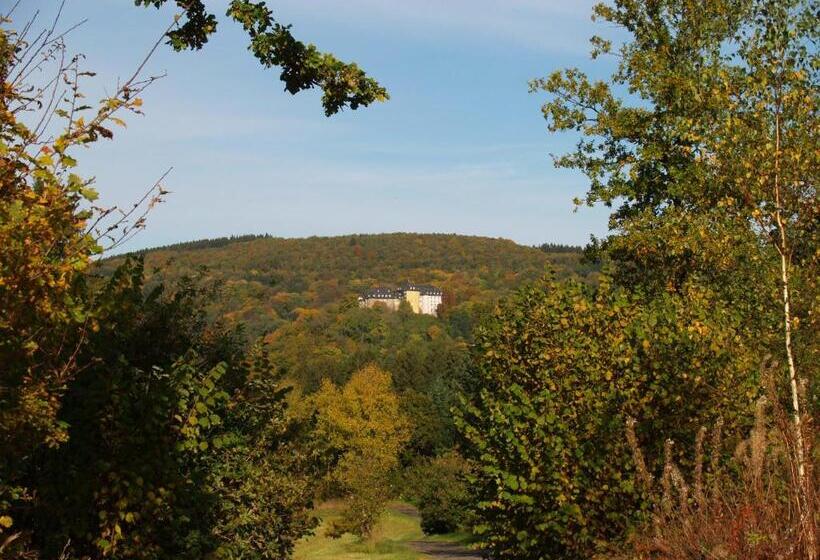 فندق Zum Weißen Stein