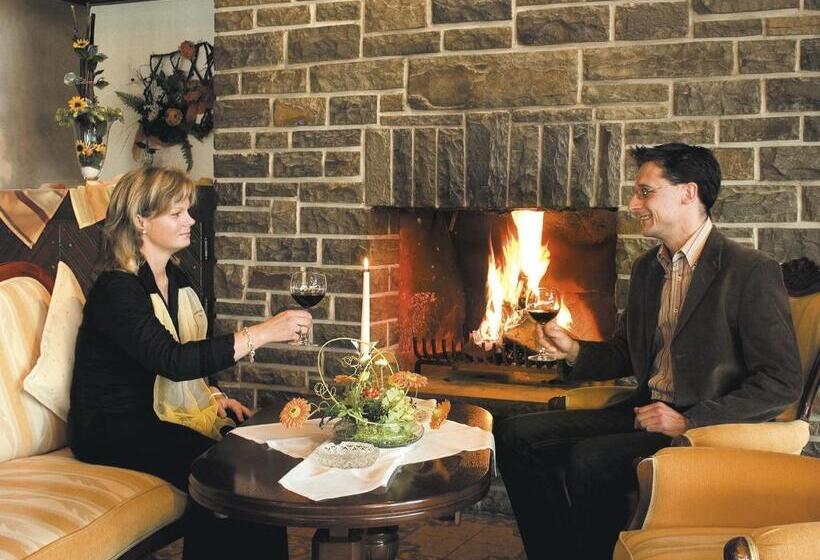 فندق Zum Weißen Stein