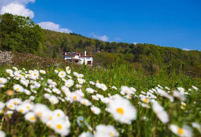 Pension Militsa Guesthouse