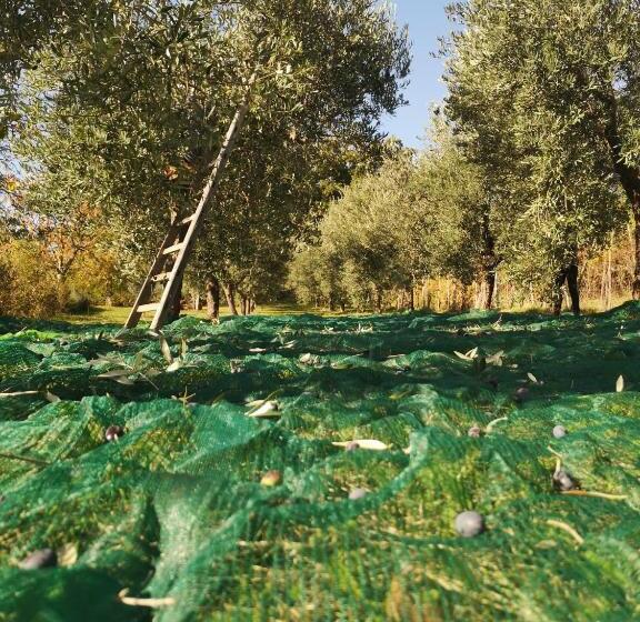 호텔 Agriturismo Roccagelli
