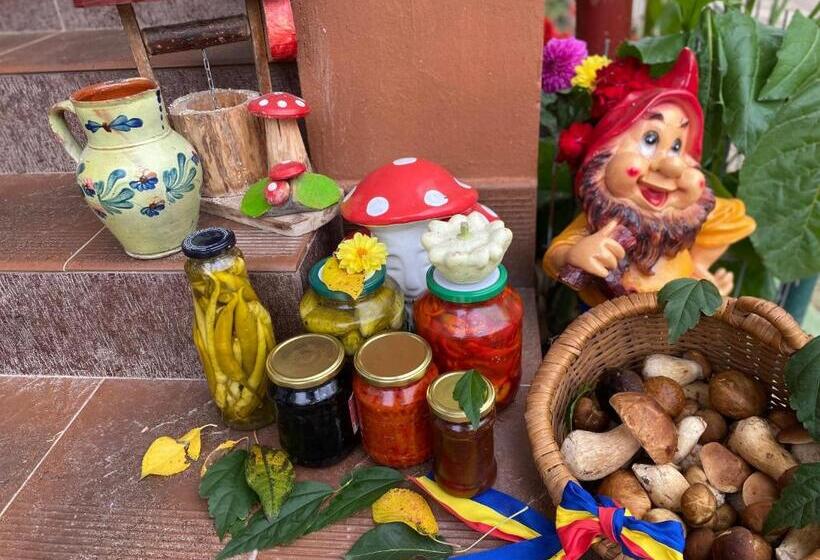 膳宿费 Casa Grai Moroșănesc