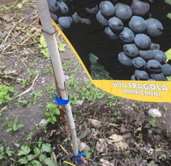 پانسیون The Lighthouse Room