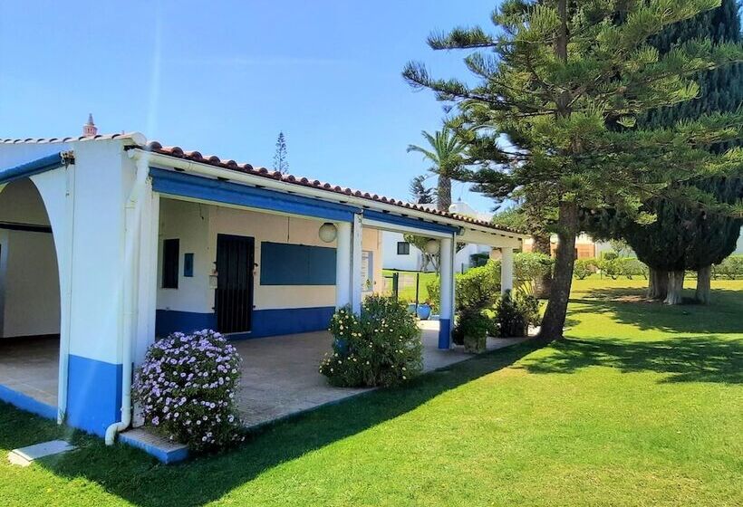 Armação De Pêra Brightness 2 With Pool By Homing
