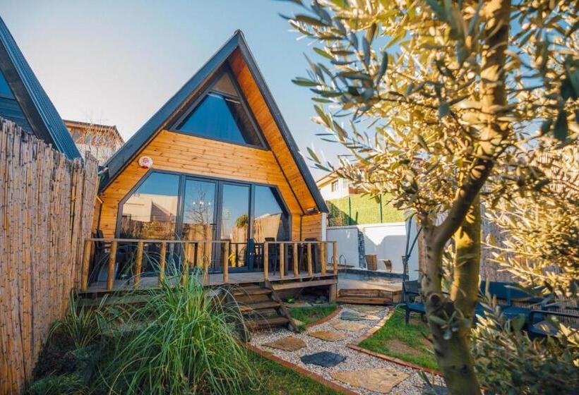 ベッドアンドブレックファースト Tree Bungalov Maşukiye