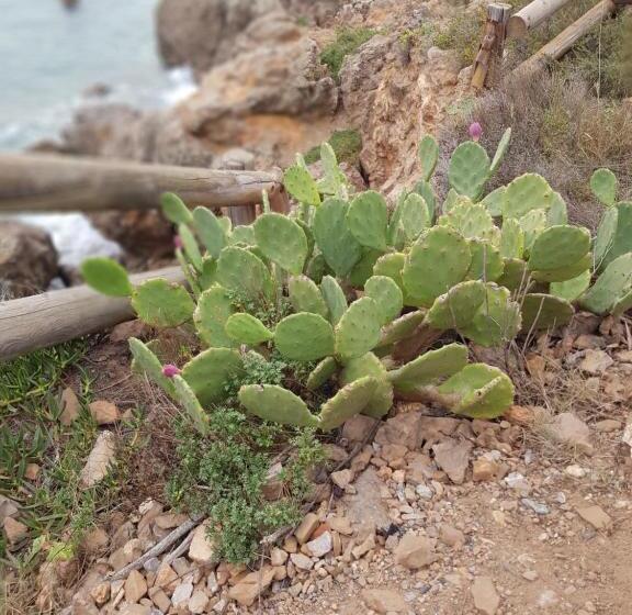 La Galiote