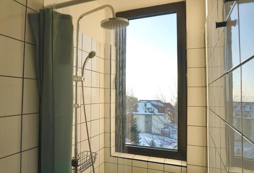 پانسیون Montana