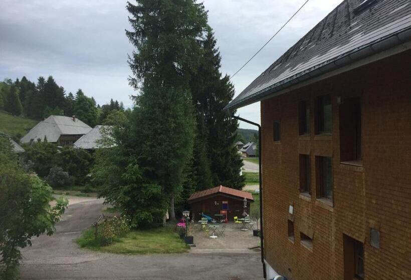 Bed and Breakfast Sporthostel Rössle
