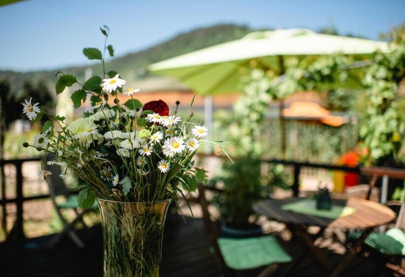 ホテル Weingut Und Gästehaus Zilliken