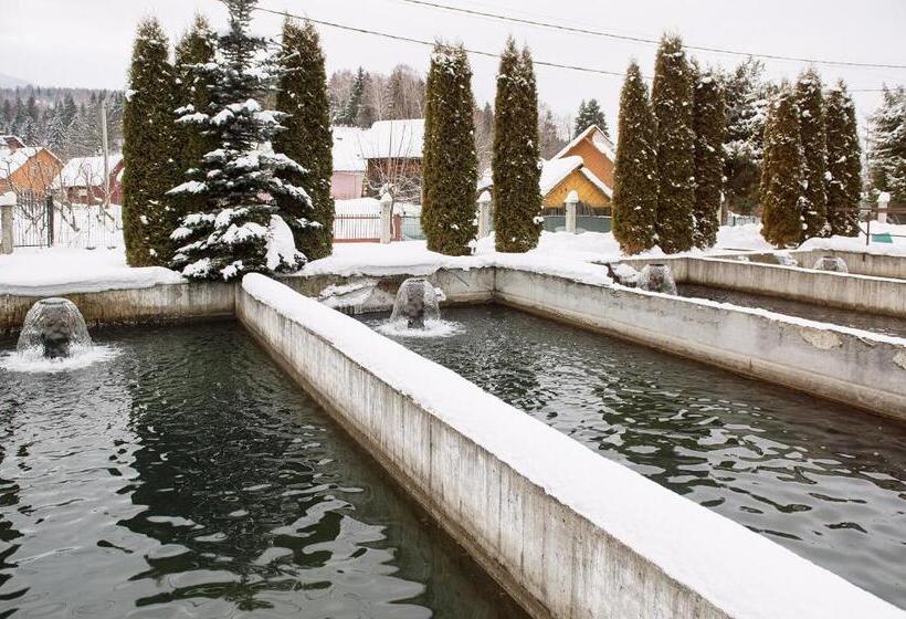 پانسیون Complex Pescăresc Gura Repezii Borșa