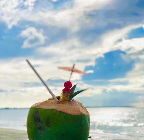 هتل Sailors Beach Fiji