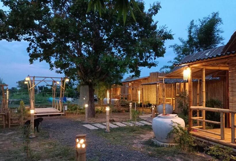 استراحتگاه สวนเกษตรรักษ์ไผ่ Bamboo Conservation Farm