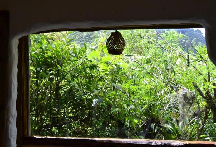 Bed and Breakfast Habitación Las Bromelias, Pijao, Finca Flora Del Rio