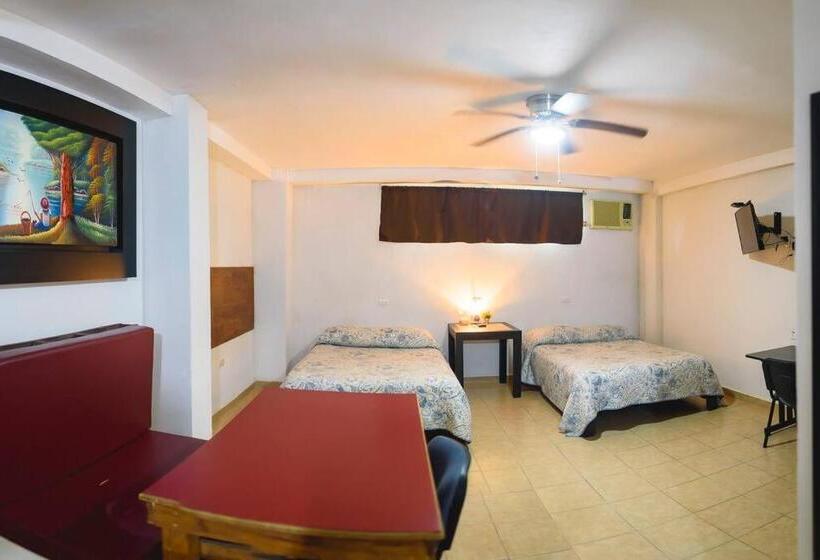 Depab Privado, Centrico,wifi 80 Mb ,aire Acondicionado ,cocina, Cochera Techada
