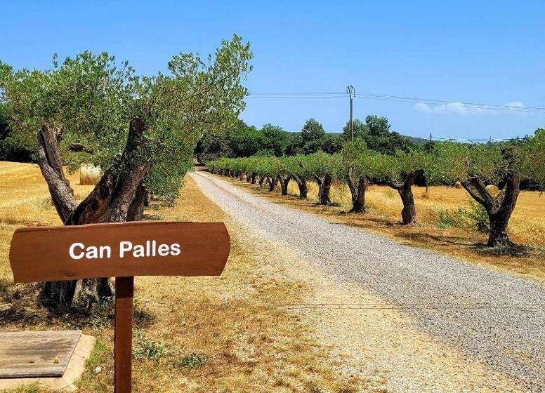 Recientemente Restaurada Ideal Para Grupos