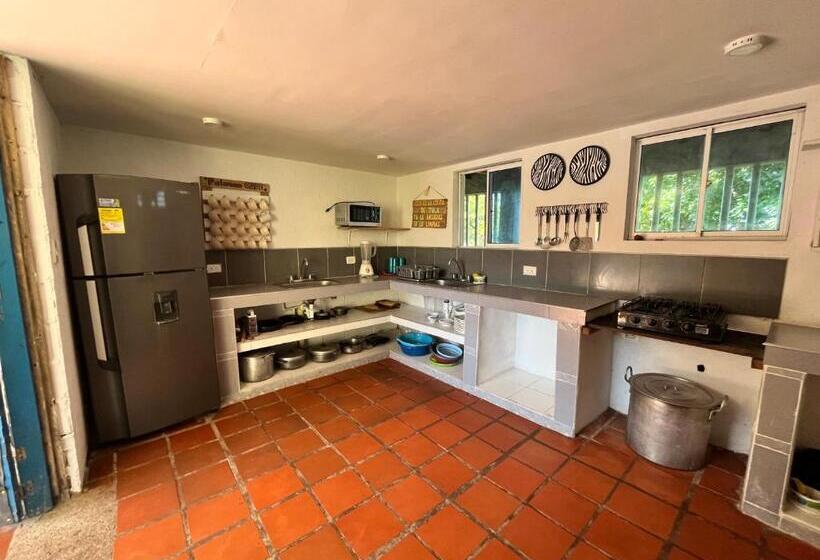 هتل Palomar Ecocabaña