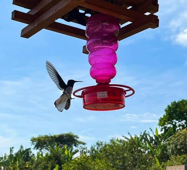 تختخواب و صبحانه Casa Campestre Hh