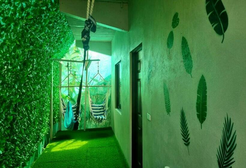 Пансион Wildlife Tortuguero