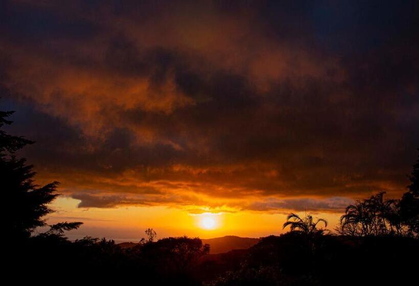Sunset Monteverde