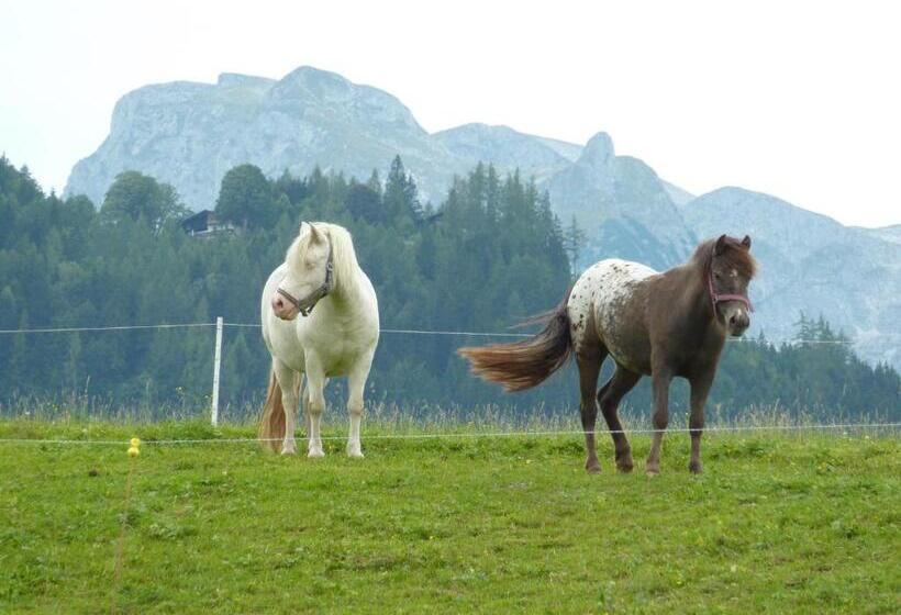 Bio Bauernhof Rettenbachgut