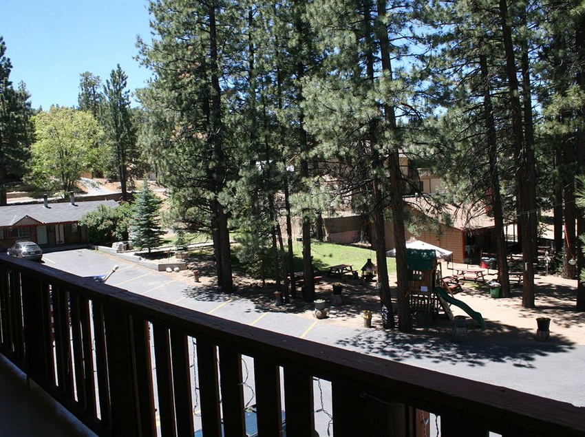 فندق Honey Bear Lodge & Cabins