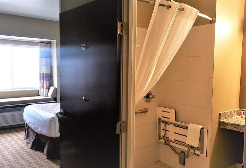Microtel Inn And Suites Pecos