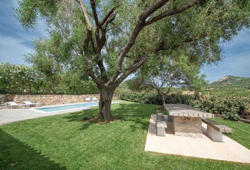 [villa Con Piscina] Nelle Colline Della Gallura