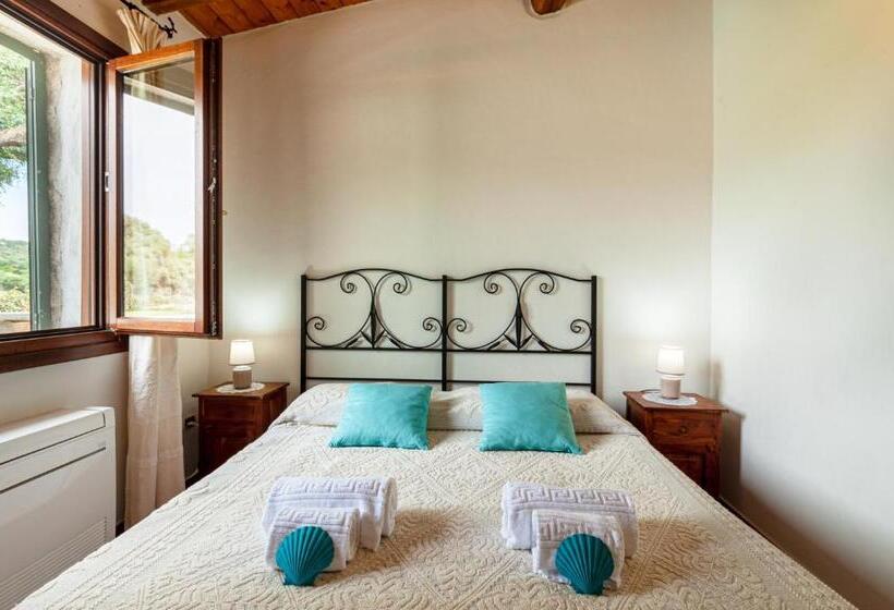 [villa Con Piscina] Nelle Colline Della Gallura