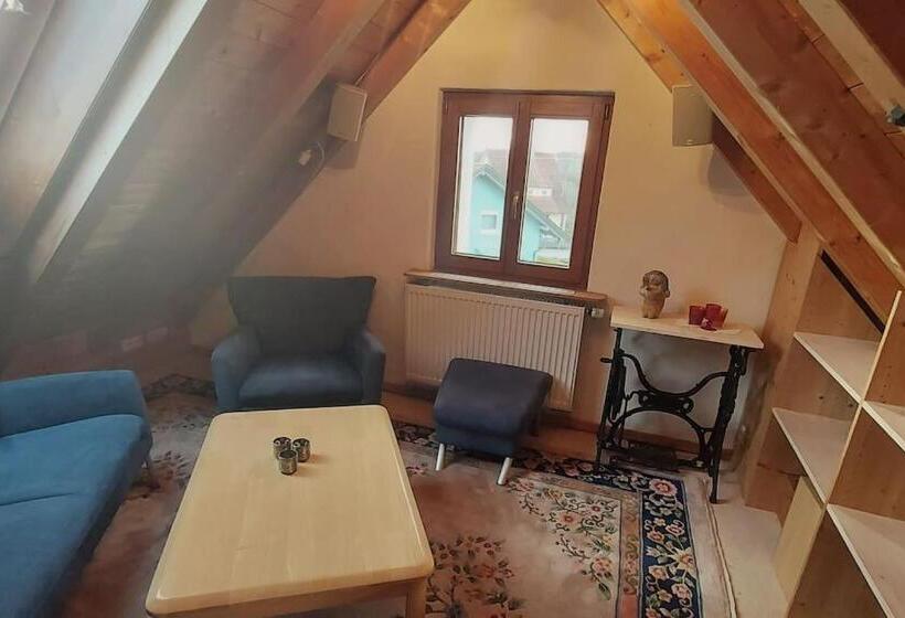 Gemütliche Ferienwohnung Auf 2 Etagen Mit Dachterrasse