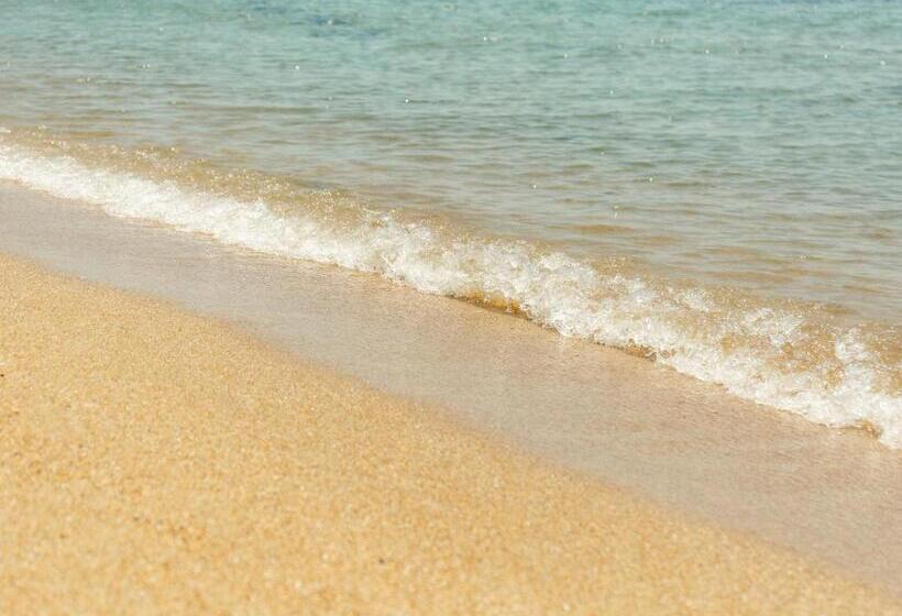 هتل 直島町ふるさと海の家 つつじ荘  Seaside Park Stay Tsutsujiso