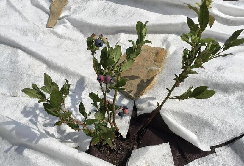 هتل Lake View Apartments Near Golf Resort Kunětická Hora, Dříteč