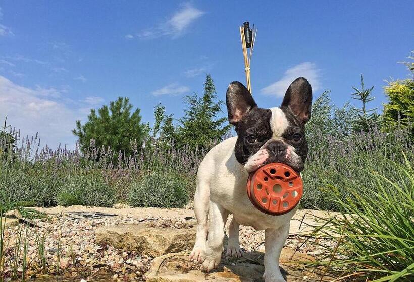 هتل Lake View Apartments Near Golf Resort Kunětická Hora, Dříteč