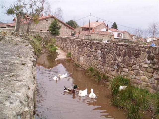 Casa Tinuca