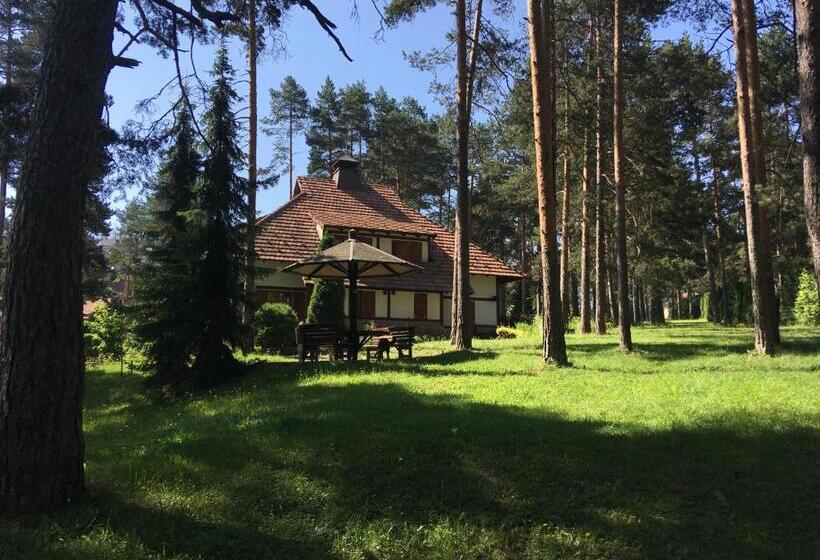 Kraljevi Konaci   Vila Zelena Dolina   Zlatibor