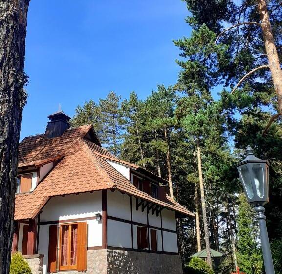 Kraljevi Konaci   Vila Zelena Dolina   Zlatibor