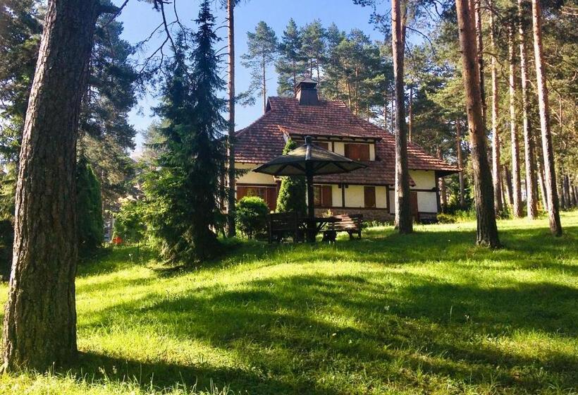 Kraljevi Konaci   Vila Zelena Dolina   Zlatibor