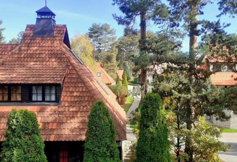 Kraljevi Konaci   Vila Zelena Dolina   Zlatibor