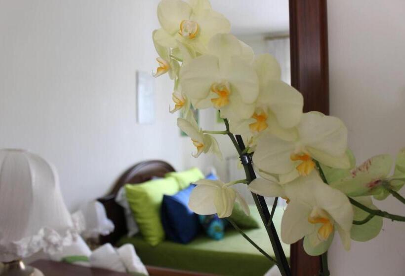 B&b Casa Ippolito Stabiae Coast