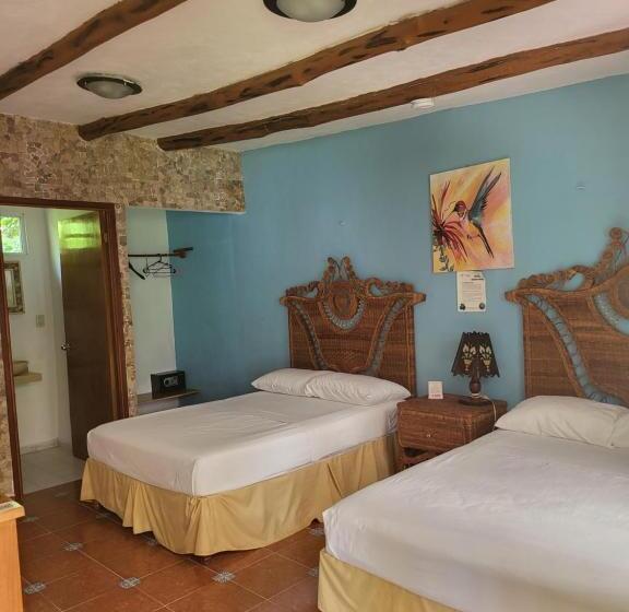 هتل Cabañas Colibrí