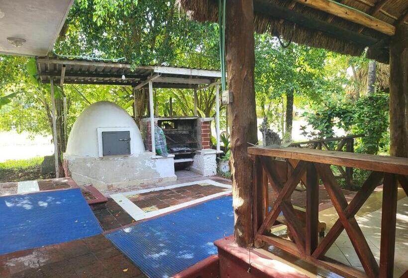 هتل Cabañas Colibrí