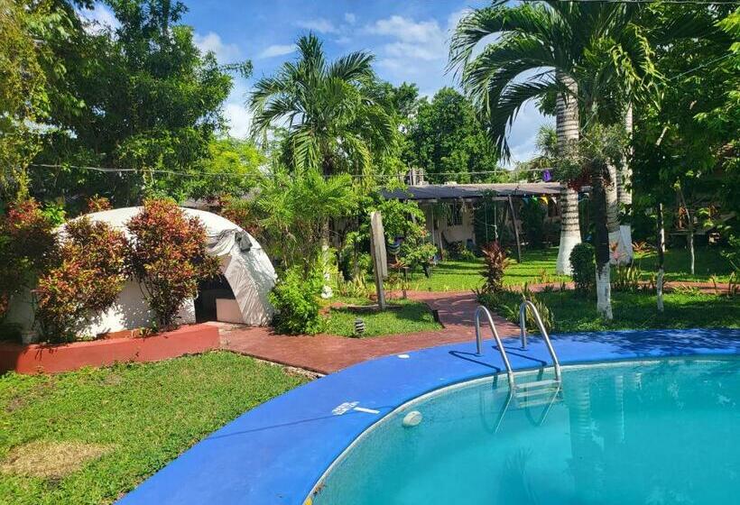 هتل Cabañas Colibrí