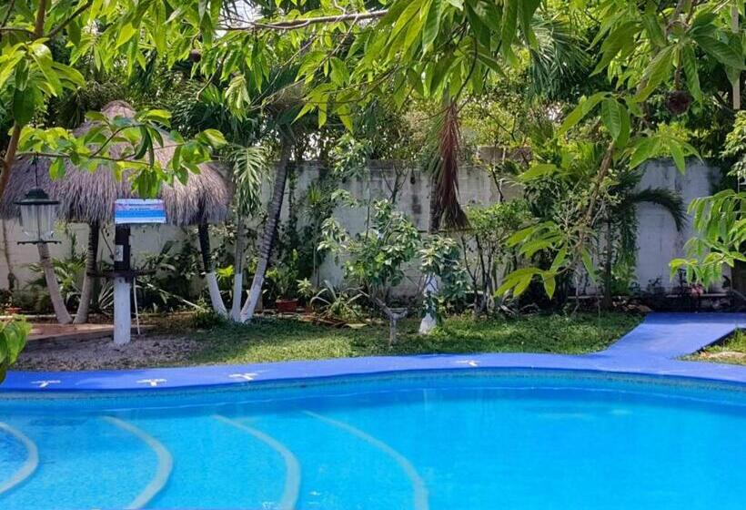 هتل Cabañas Colibrí