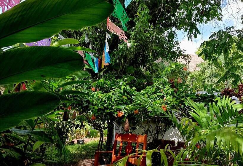 هتل Cabañas Colibrí