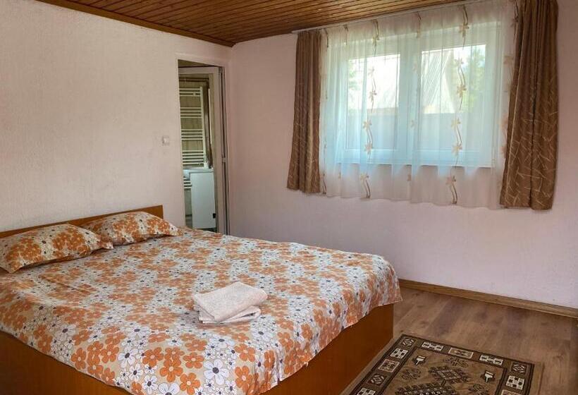 پانسیون Casa Blendea Daniela