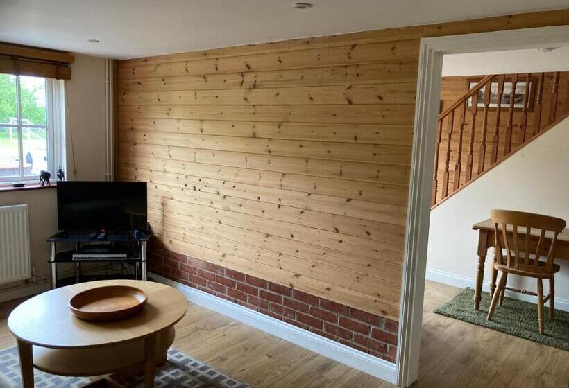 The Shed