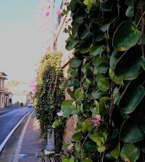 A Casa Di Nonna B&b
