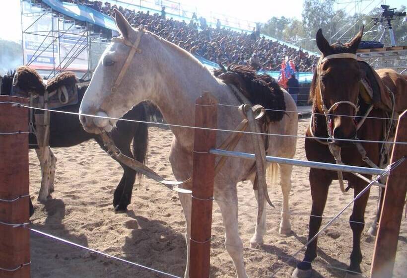 Hostel Joven Casa Reggae