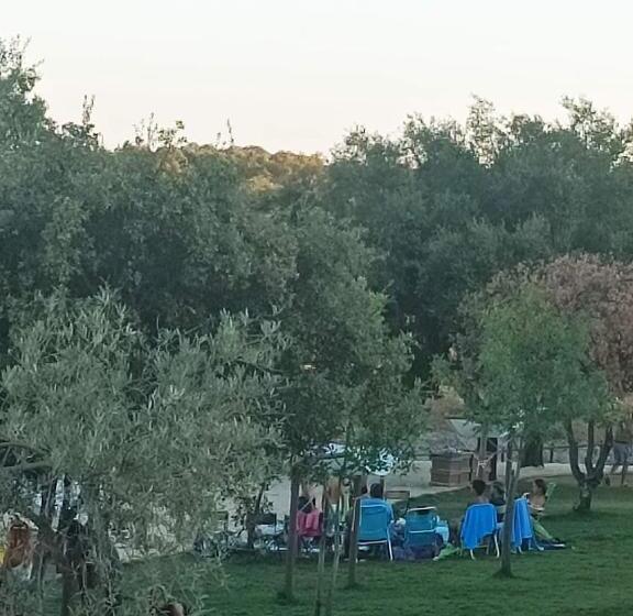 A Casa Do Mestre Lau   No Coração Do Alentejo